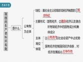 部编版高考政治一轮复习课件  第5课 我国的生产资料所有制