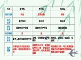 2.2尊重知识产权复习课件-2022-2023学年高中政治统编版选择性必修二法律与生活
