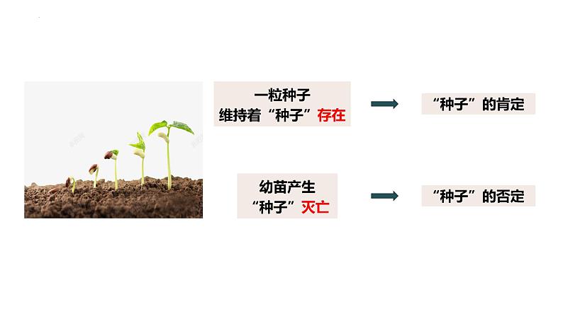 10.1 不作简单肯定或否定 课件-2022-2023学年高中政治统编版选择性必修三逻辑与思维 (1)06