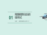 高中政治统编版必修三6.3 基层群众自治制度 课件