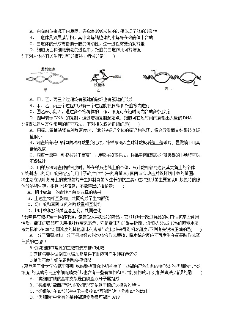 2023年高考政治第二次模拟考试卷—生物（广东A卷）（考试版）A402