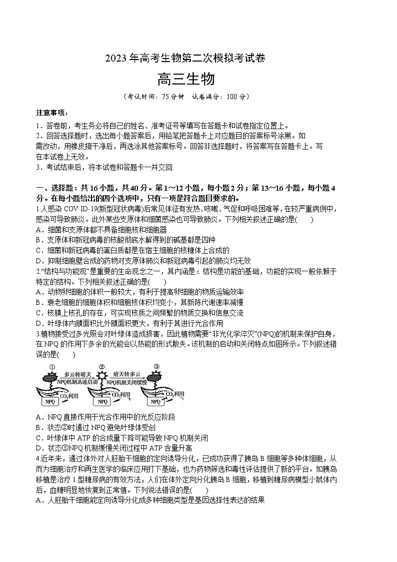 2023年高考政治第二次模拟考试卷—生物（广东B卷）（考试版）01