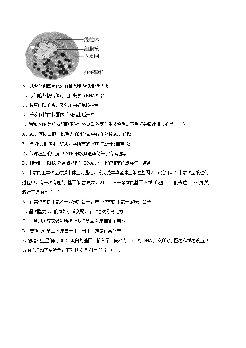 2023年高考政治第二次模拟考试卷—生物（河北A卷）（考试版）第3页
