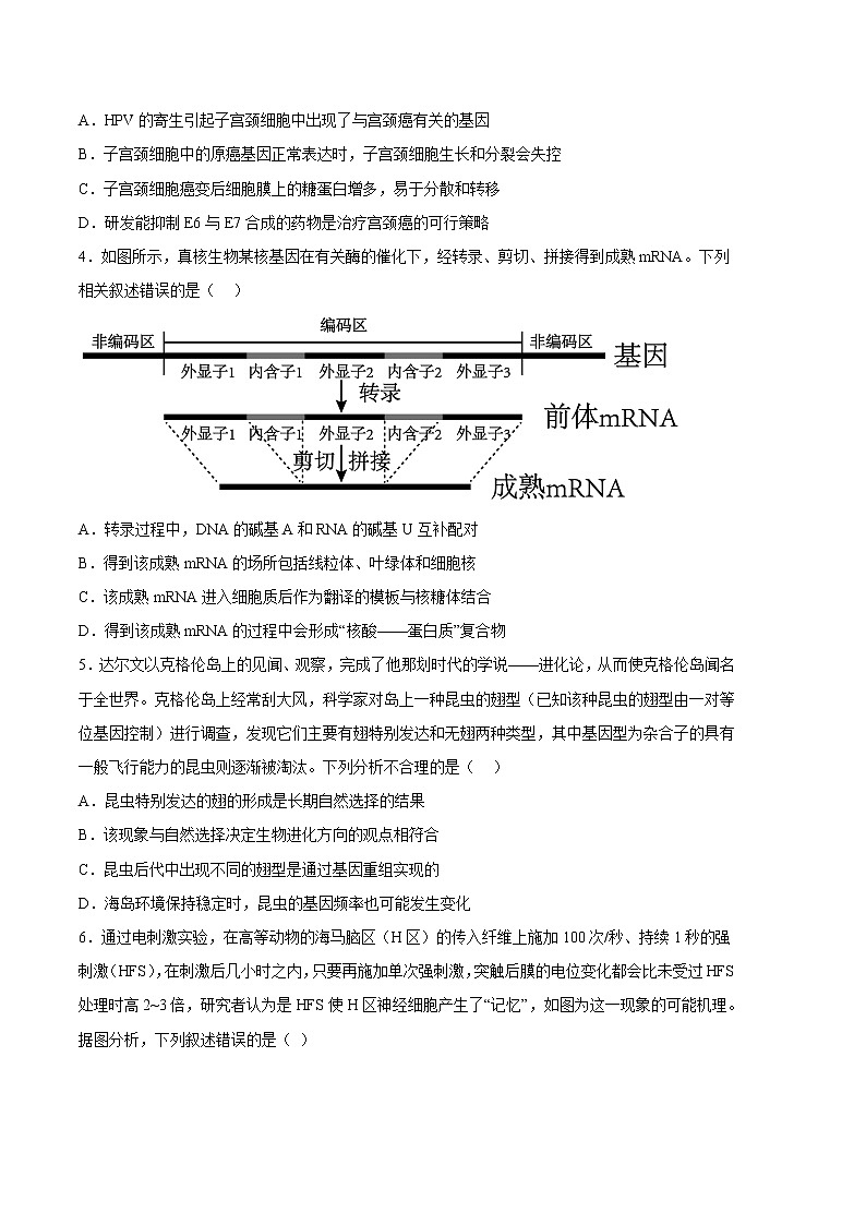2023年高考政治第二次模拟考试卷—生物（湖南B卷）（考试版）02