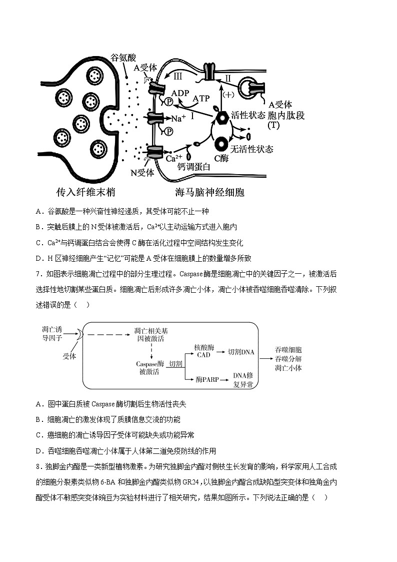 2023年高考政治第二次模拟考试卷—生物（湖南B卷）（考试版）03