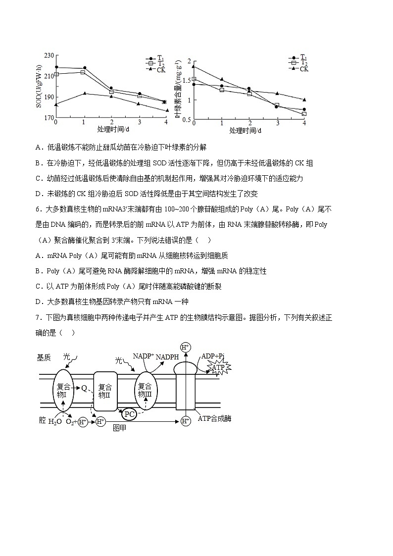 2023年高考政治第二次模拟考试卷—生物（湖北B卷）（考试版）03