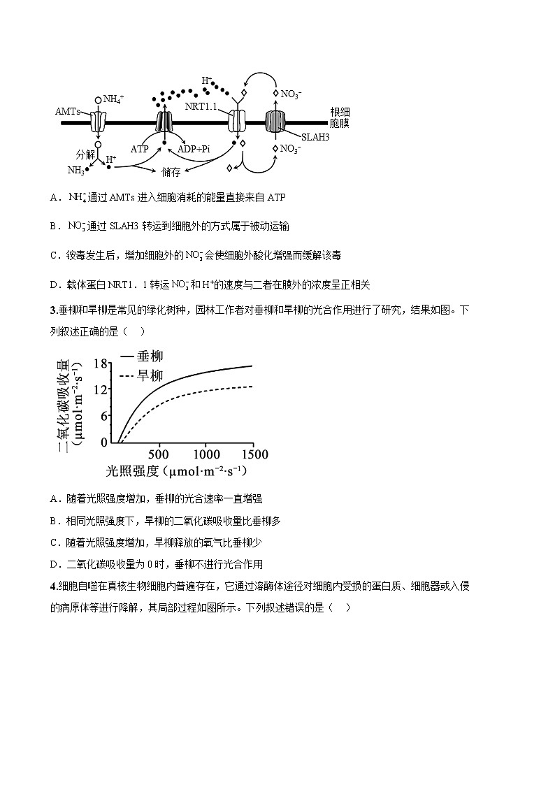 2023年高考政治第二次模拟考试卷—生物（辽宁B卷）（考试版）02