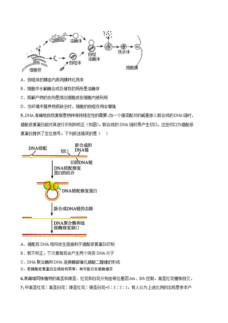 2023年高考政治第二次模拟考试卷—生物（辽宁B卷）（考试版）03