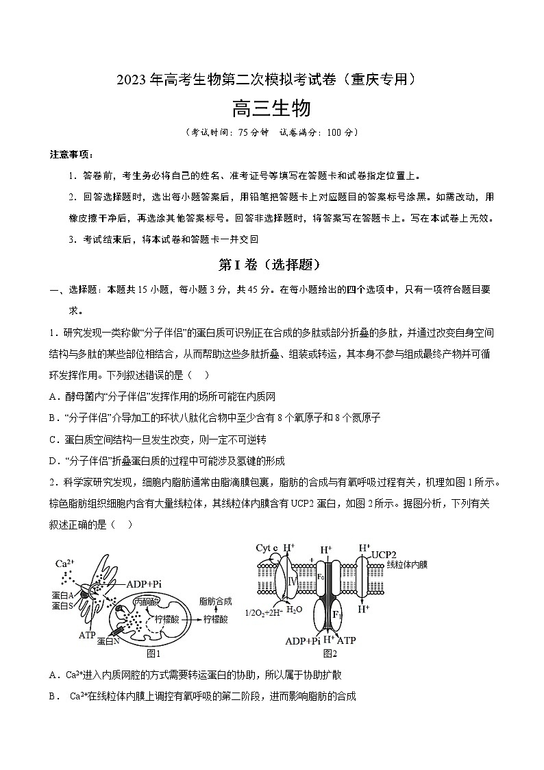 2023年高考政治第二次模拟考试卷—生物（重庆B卷）（考试版）01