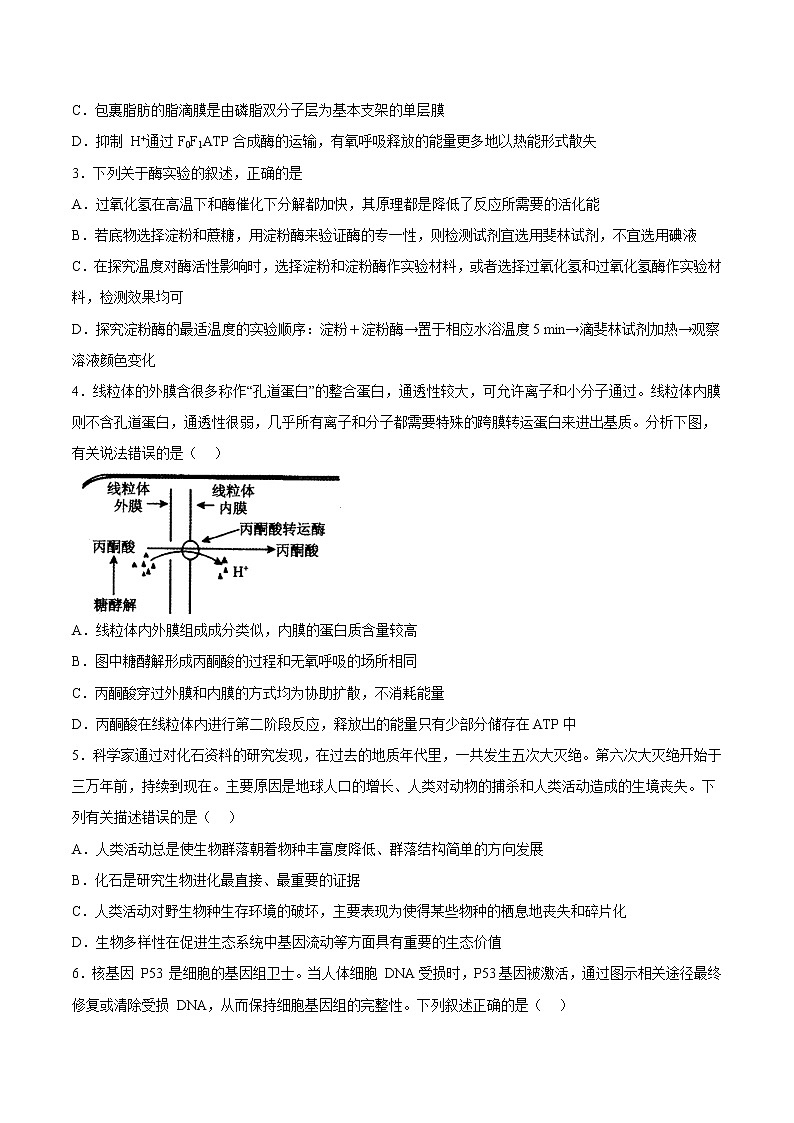 2023年高考政治第二次模拟考试卷—生物（重庆B卷）（考试版）02