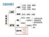 2.2尊重知识产权课件-2022-2023学年高中政治统编版选择性必修二法律与生活