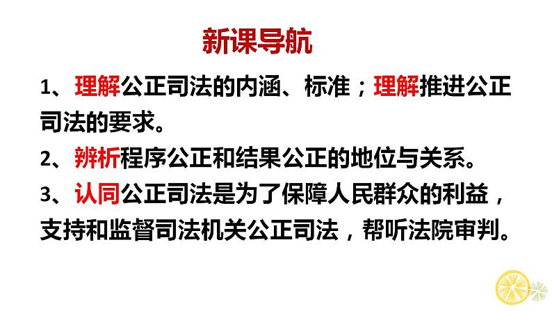 9.3公正司法课件-2022-2023学年高中政治统编版必修三政治与法治04