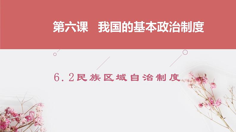 6.2民族区域自治制度课件PPT第4页