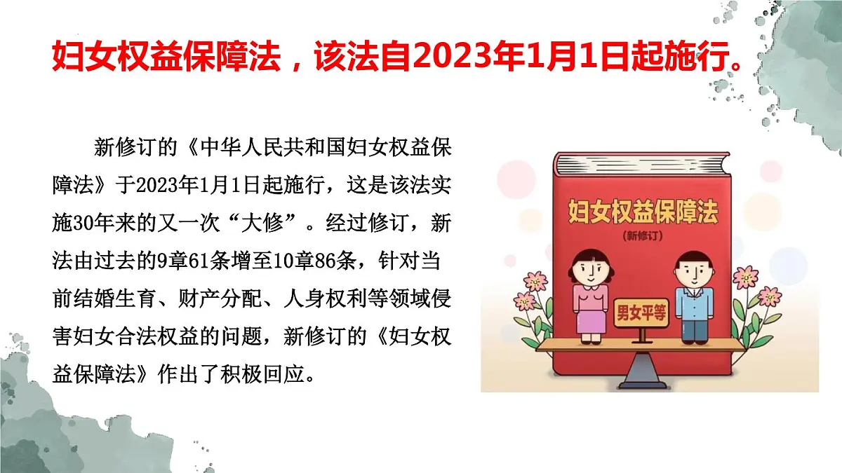 妇女权益保护法热点课件--2023届高考政治二轮复习统编版第3页
