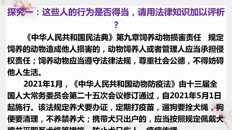 高中政治统编版必修三8.3法治社会 课件07