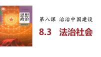 高中政治 (道德与法治)人教统编版必修3 政治与法治法治社会课文内容ppt课件