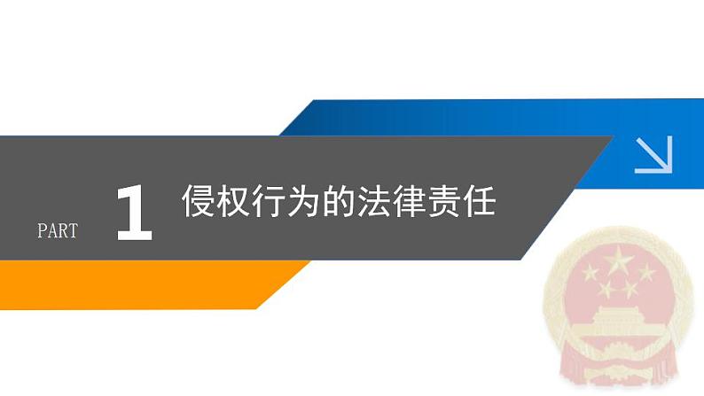 4.1 权利保障 于法有据 课件-2022-2023学年高中政治统编版选择性必修二法律与生活05