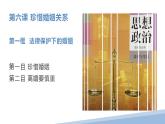6.1法律保护下的婚姻课件-2022-2023学年高中政治统编版选择性必修二法律与生活
