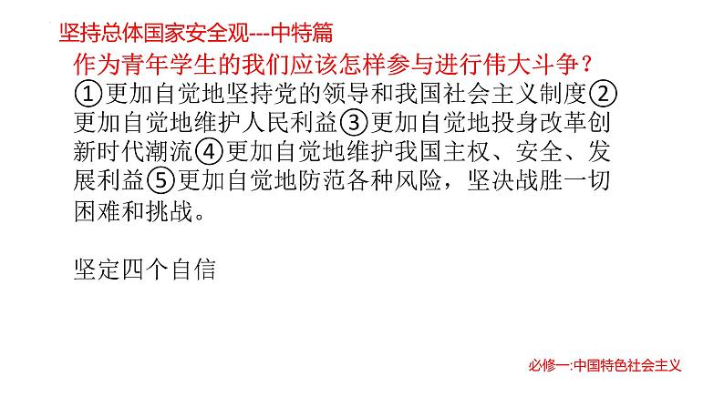 坚持总体国家安全观 课件-2023届高考政治二轮复习统编版第8页