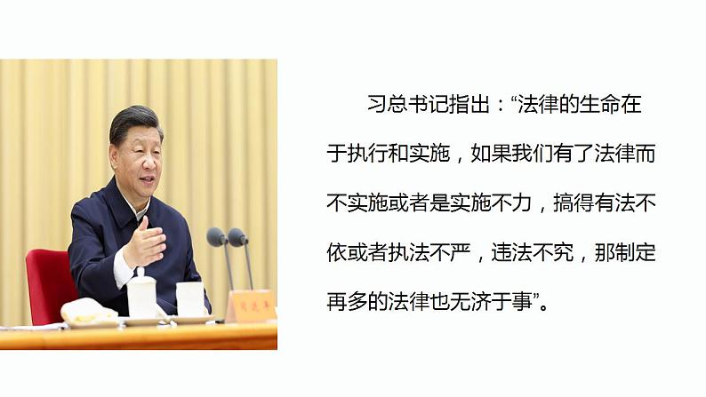 9.2严格执法 课件-2022-2023学年高中政治统编版必修三政治与法治01