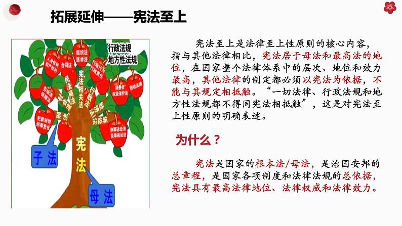 8.1法治国家 课件-2022-2023学年高中政治统编版必修三政治与法治第8页