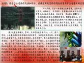 公正司法课件-高中政治统编版必修三政治与法治