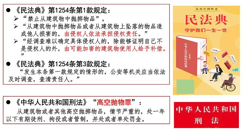 8.3法治社会课件-2022-2023学年高中政治统编版必修三政治与法治第3页