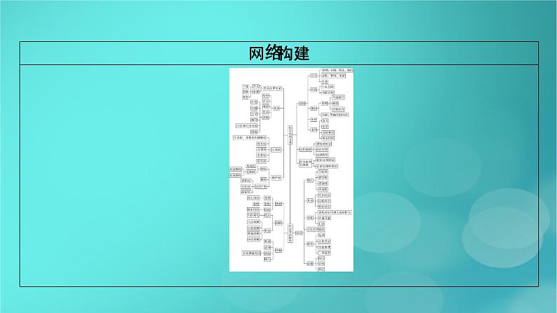 （新高考适用）2023版高考政治二轮总复习 第1部分 专题过关突破 过关微专题13核心考点一　民事权利与义务课件第5页