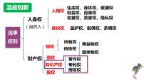 高中政治 (道德与法治)尊重知识产权授课课件ppt