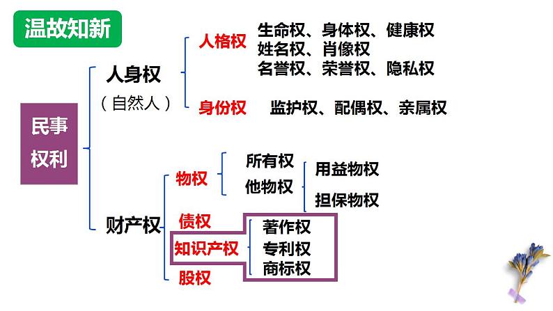 高中政治统编版选择性必修二2.2尊重知识产权 课件01