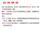 第二单元 家庭与婚姻复习课件- 高中政治统编版选择性必修二法律与生活