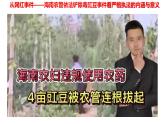 9.2 严格执法课件-高中政治统编版必修三政治与法治