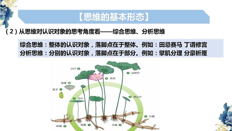 1.2思维形态及其特征课件-高中政治统编版选择性必修三 逻辑与思维第5页