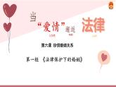 6.1 法律保护下的婚姻课件PPT