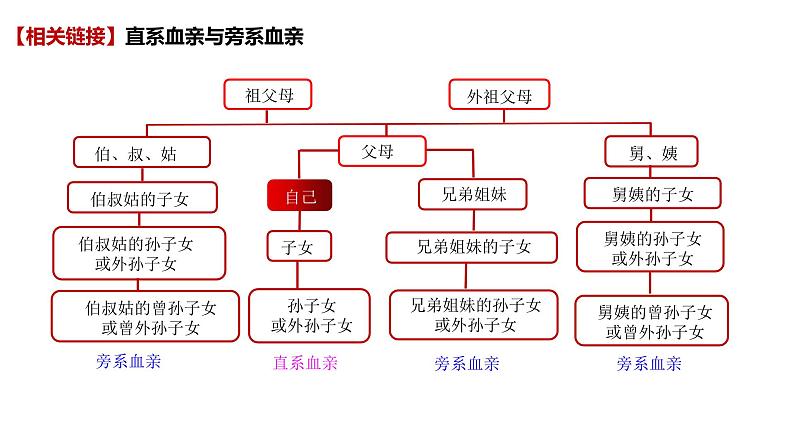 6.1 法律保护下的婚姻-高中思想政治部编版选择性必修2精品课件08