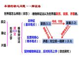3.1世界是普遍联系的  课件-高中政治统编版必修四哲学与文化