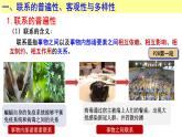 3.1世界是普遍联系的  课件-高中政治统编版必修四哲学与文化