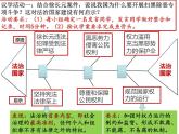 8.1法治国家课件-高中政治统编版必修三政治与法治