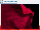 2.2社会主义制度在中国的确立课件-2022-2023学年高中政治统编版必修一中国特色社会主义