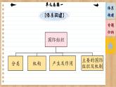 第四单元 国际组织（单元总结课件PPT）