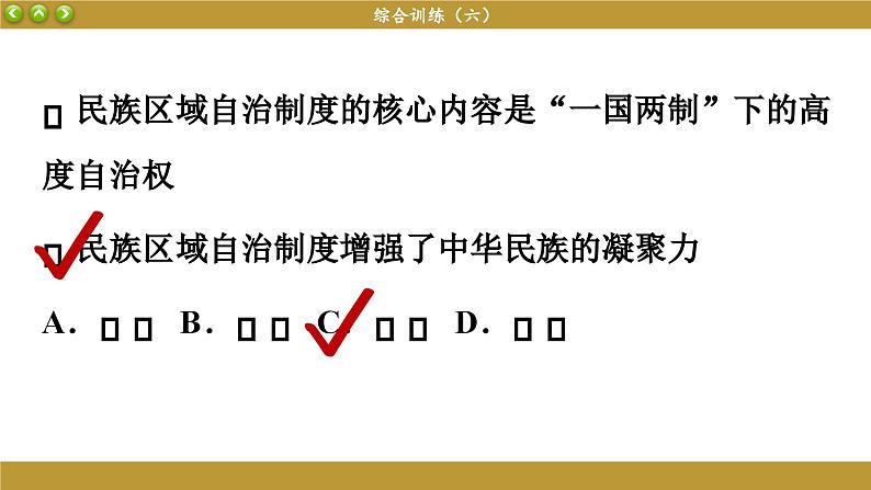 第六课 我国的基本政治制度 综合训练（课件PPT）第6页