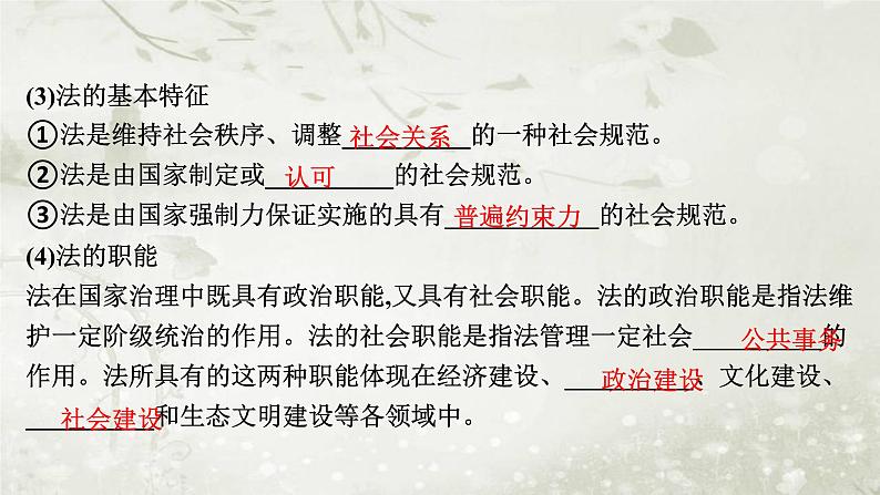 普通高中政治必修3学业水平合格性考试复习专题七全面依法治国课件第7页