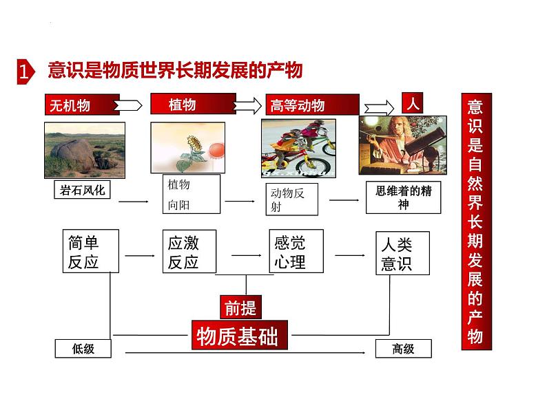 第二课 探究世界的本质 课件-2023届高考政治一轮复习统编版必修四哲学与文化第8页