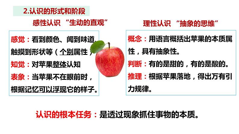 4.1人的认识从何而来课件-2022-2023学年高中政治统编版必修四哲学与文化第8页