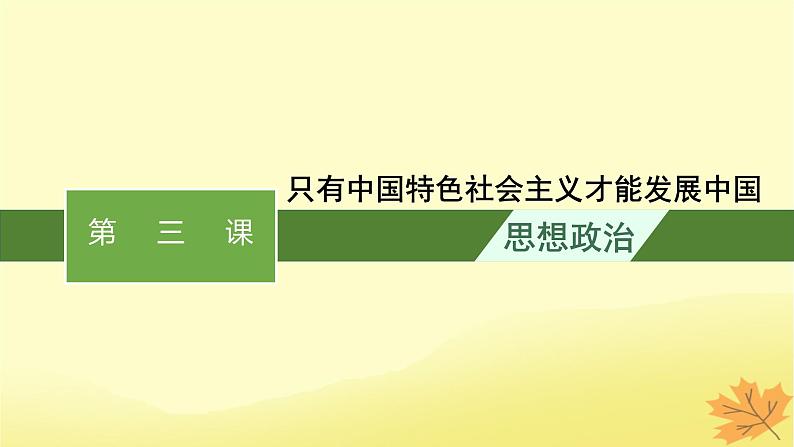 适用于新教材2024版高考政治一轮总复习第3课只有中国特色社会主义才能发展中国课件部编版必修1第1页