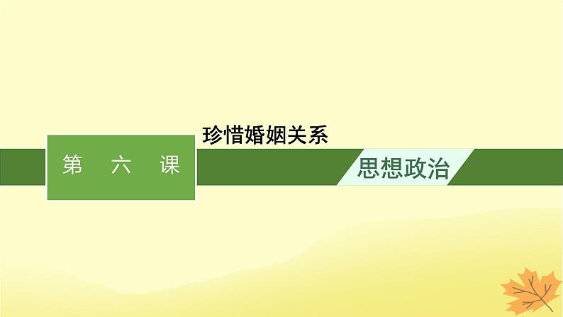 适用于新教材2024版高考政治一轮总复习第二单元家庭与婚姻第6课珍惜婚姻关系课件部编版选择性必修201