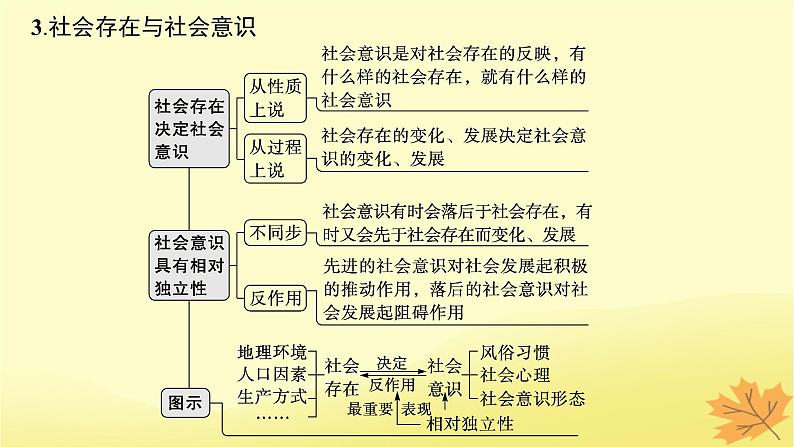 适用于新教材2024版高考政治一轮总复习第二单元认识社会与价值选择第5课寻觅社会的真谛课件部编版必修407