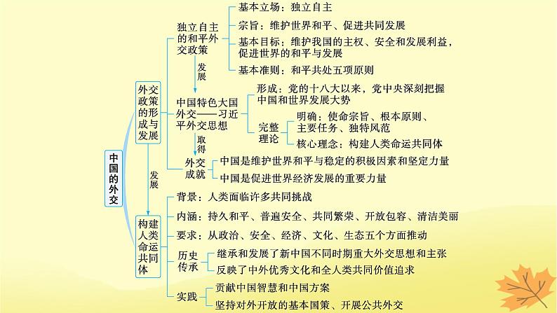 适用于新教材2024版高考政治一轮总复习第二单元世界多极化第5课中国的外交课件部编版选择性必修103