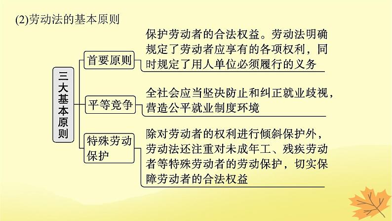 适用于新教材2024版高考政治一轮总复习第三单元就业与创业第7课做个明白的劳动者课件部编版选择性必修206