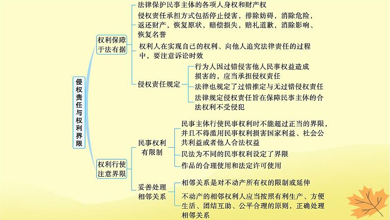 适用于新教材2024版高考政治一轮总复习第一单元民事权利与义务第4课侵权责任与权利界限课件部编版选择性必修203